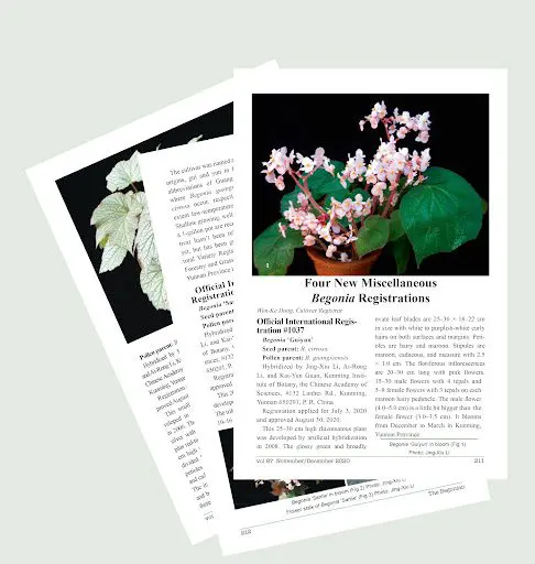 Registered Cultivars | The American Begonia Society