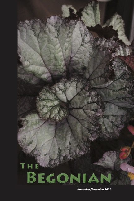 The Begonian cover 11-12 2021 full
