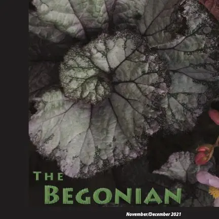 Spotlight The Begonian 11-12 2021