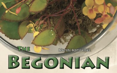 The Begonian 3-4 2021