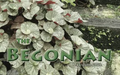 The Begonian 5-6 2021