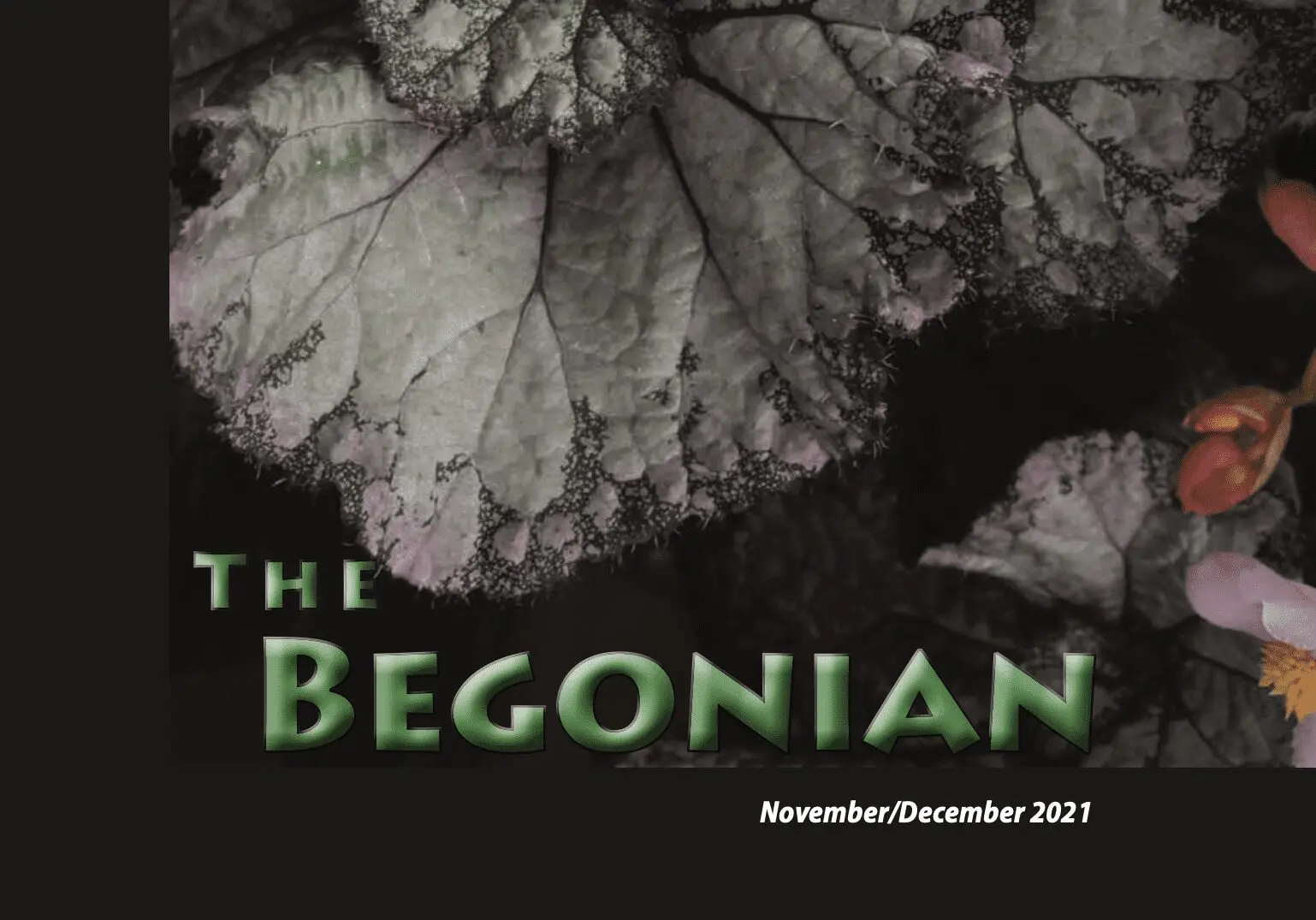 The Begonian 11-12 2021