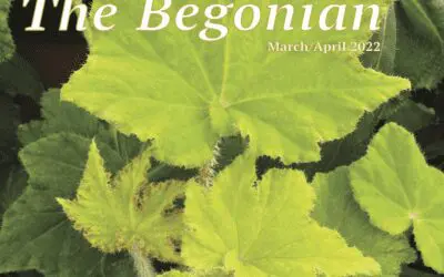 The Begonian March/April 2022