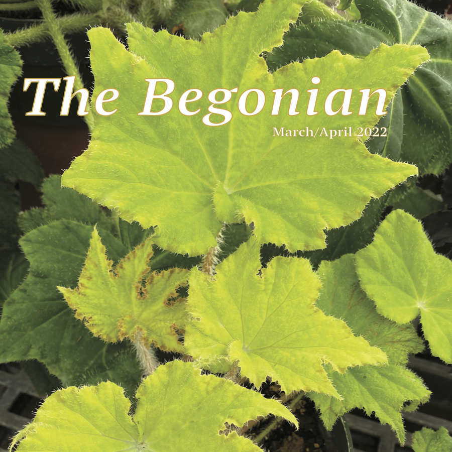 The Begonian March/April 2022