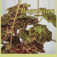 The Begonian July/August 2022