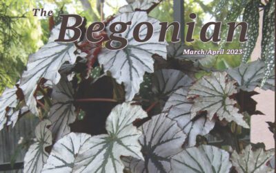 The Begonian March-April 2023