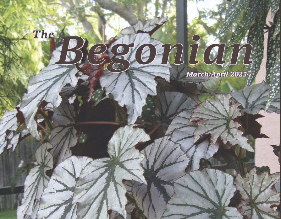 The Begonian March-April 2023
