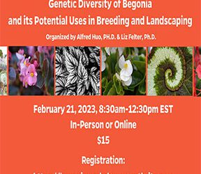 Begonia Seminar Feb 21, 2023