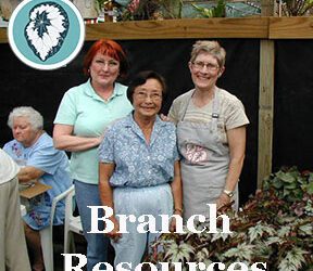 Helping to build a stronger branch
