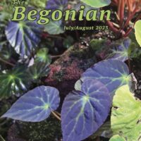 The Begonian July-August 2023