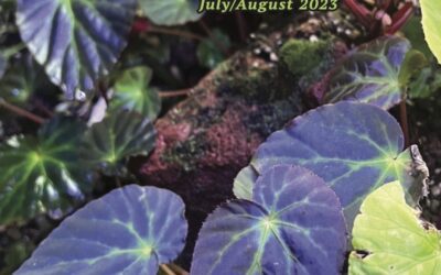 The Begonian July-August 2023
