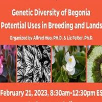 Genetic Diversity of Begonia & use in plant breeding