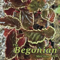 The Begonian May-June 2024