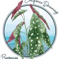 2024 ABS Convention – California Dreaming